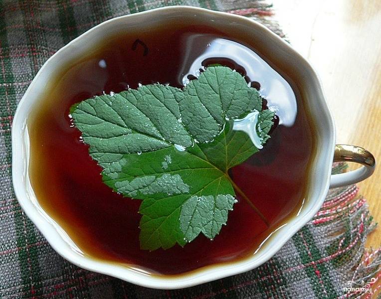Чай с листьями смородины