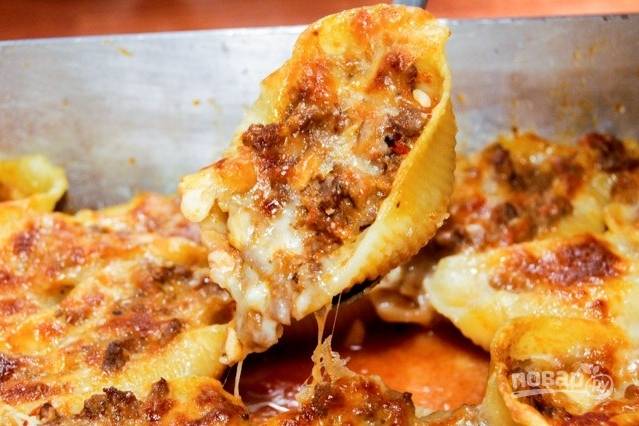 Фаршированные макароны-ракушки - вкусные и оригинальные рецепты приготовления пасты