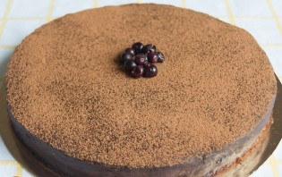 Шоколадный торт со смородиной - фото шаг 11