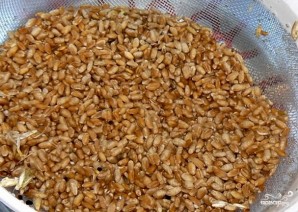 Бражка на пшенице - фото шаг 1