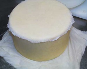 Сыр чеддер в домашних условиях - фото шаг 10