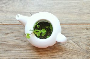 Чай с крыжовником - фото шаг 3