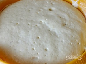 Рецепт дрожжевых оладий на молоке - фото шаг 3