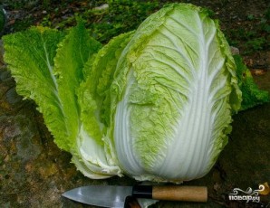 Оригинальный салат слау с пекинской капустой - фото шаг 1