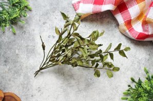 Чай из листьев черники - фото шаг 2