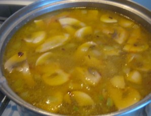 Суп с мясом и грибами   - фото шаг 10