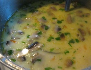 Суп с фрикадельками и грибами   - фото шаг 12