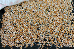 Коктейль из пророщенной пшеницы - фото шаг 6