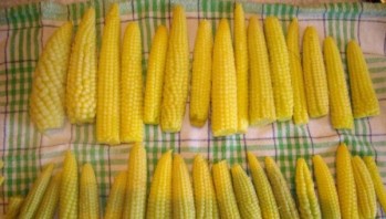 Маринованная кукуруза на зиму - фото шаг 5