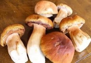Маринованные белые грибы с чесноком - фото шаг 1