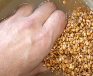 Квас из пшеницы - фото шаг 2