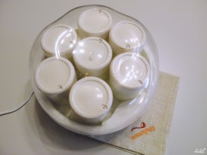 Закваска для йогурта в домашних условиях - фото шаг 4