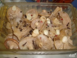 Засолка грибов груздей - фото шаг 4