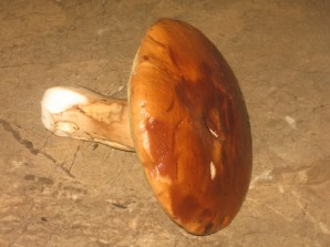 Cуп из белых грибов с перловкой - фото шаг 1