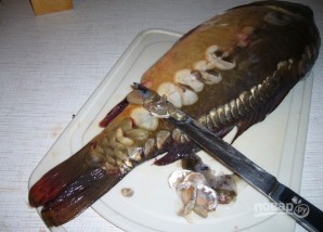 Рыба, запеченная в духовке в фольге - фото шаг 1