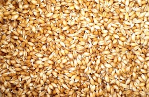 Квас из пшеницы - фото шаг 1