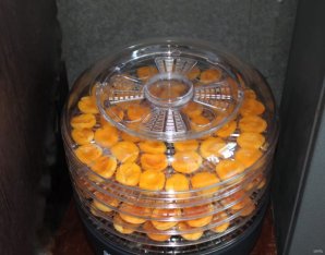 Цукаты из абрикосов в сушилке - фото шаг 6