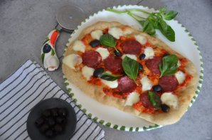 Пинса - фото шаг 19