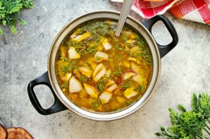 Суп из белых грибов замороженных - фото шаг 11