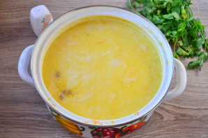 Суп с копченой курицей и плавленным сыром - фото шаг 10