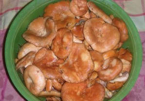 Жареные грибы рыжики - фото шаг 1