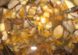 Суп из грибов подберезовиков   - фото шаг 4