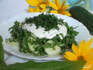 Салат из щавеля с огурцом - фото шаг 3