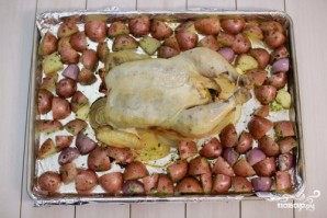Запеченная курица с картошкой - фото шаг 9