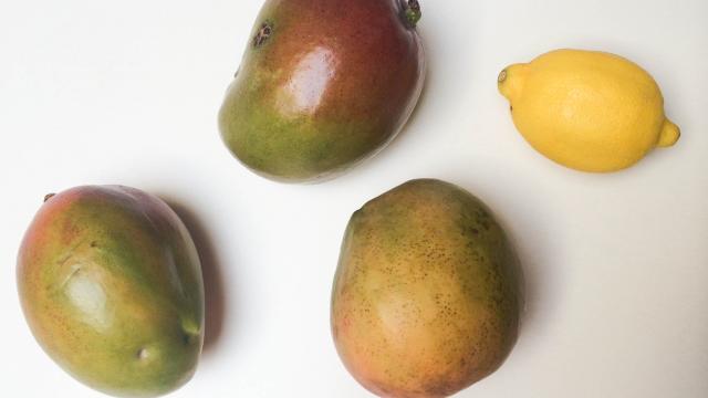 Рецепт Напиток из манго