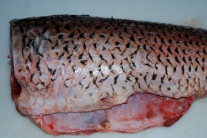 Рецепт Шашлык из рыбы сазан
