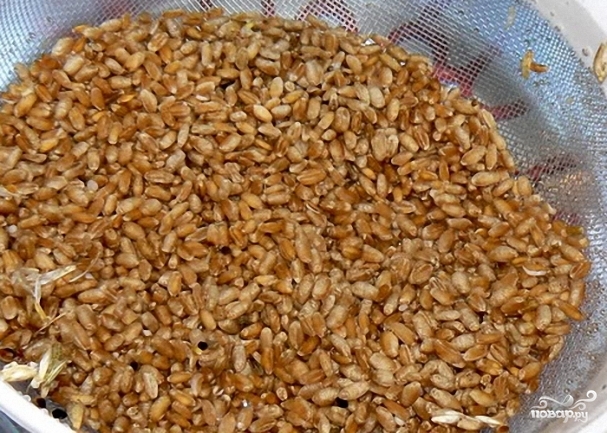 Рецепт Бражка на пшенице