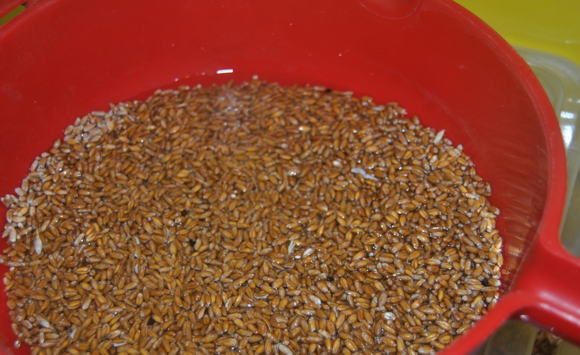 Рецепт Самогон из пшеницы