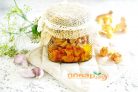 Лисички в масле на зиму