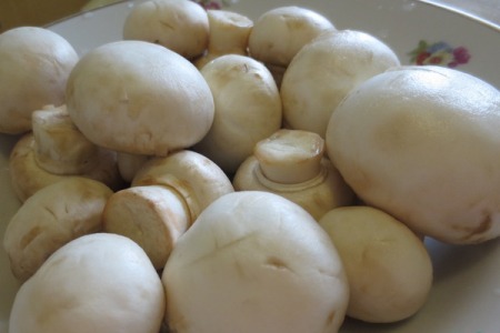 Рецепт Фрикасе с грибами