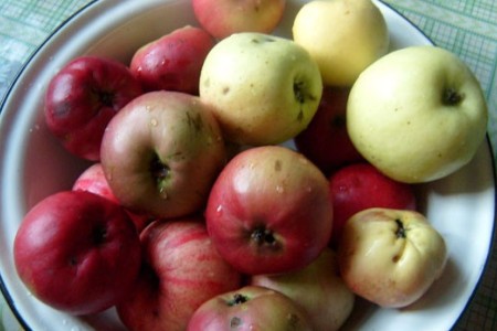 Рецепт Желе из яблок на зиму