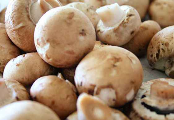 Рецепт Тушеные грибы в мультиварке