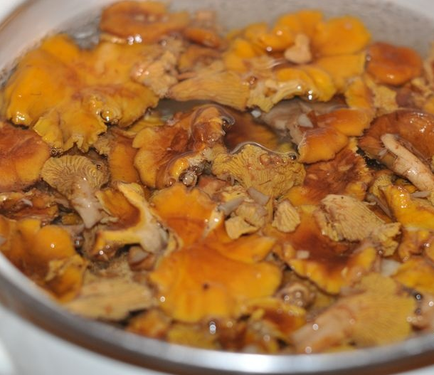 Рецепт Суп с лисичками со сливками