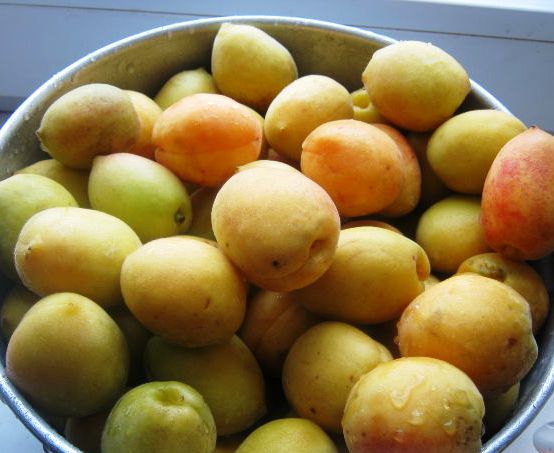Рецепт Варенье из абрикосов на зиму