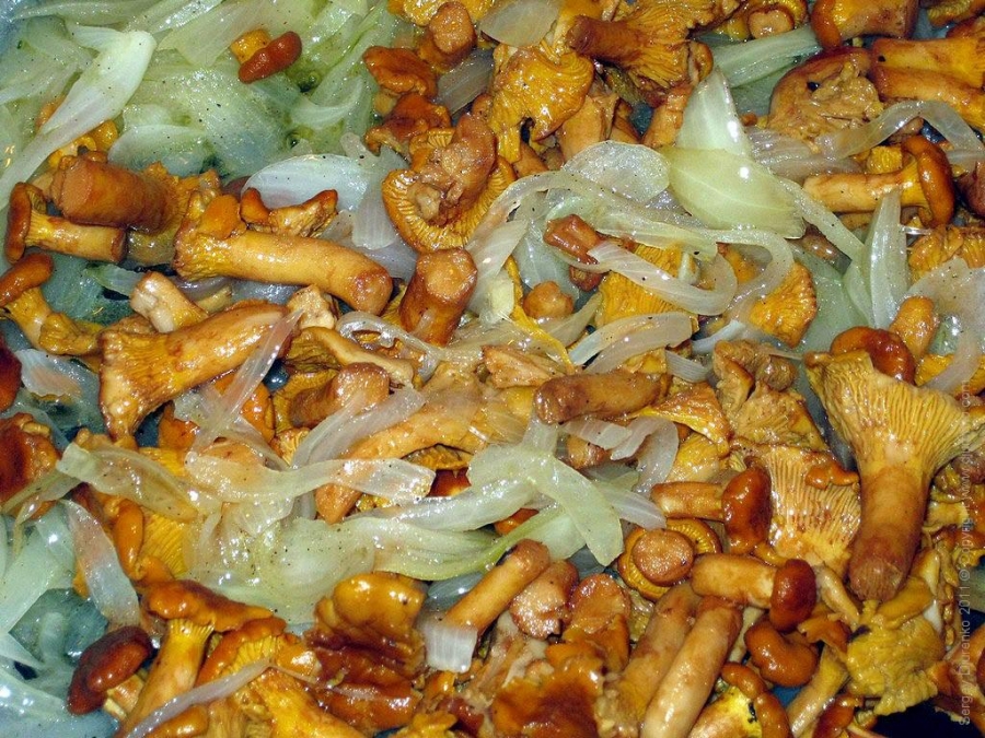 Рецепт Лисички с картошкой жареные