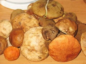Рецепт Подосиновики с картошкой