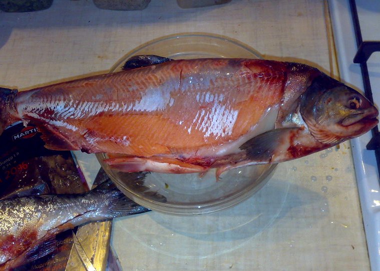 Рыба хе по корейски в домашних условиях из горбуши рецепт с фото