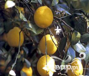 Рецепт Лимонно-мятный квас