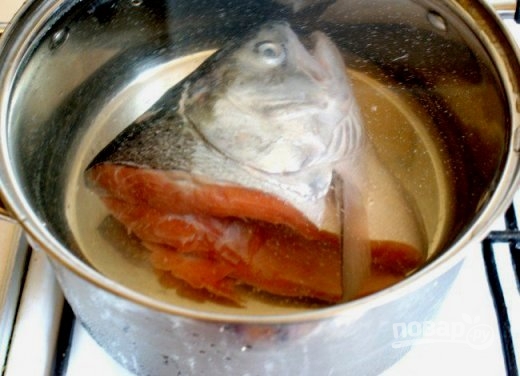 Нужно ли вынимать жабры из рыбы для супа