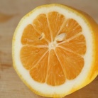 Рецепт Сливочный семифредо с лимоном