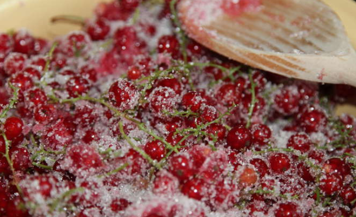 Рецепт Варенье из красной смородины на зиму