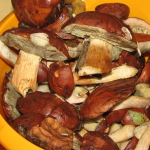 Рецепт Салаты на зиму с грибами