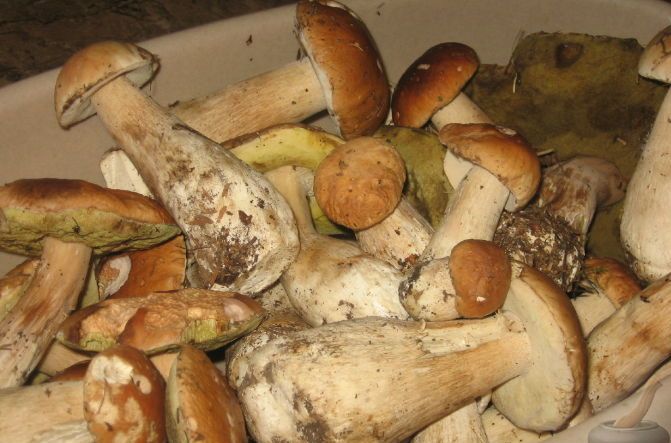 Рецепт Маринованные белые грибы без уксуса