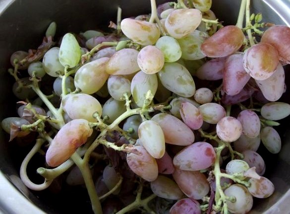 Рецепт Варенье из винограда с косточками