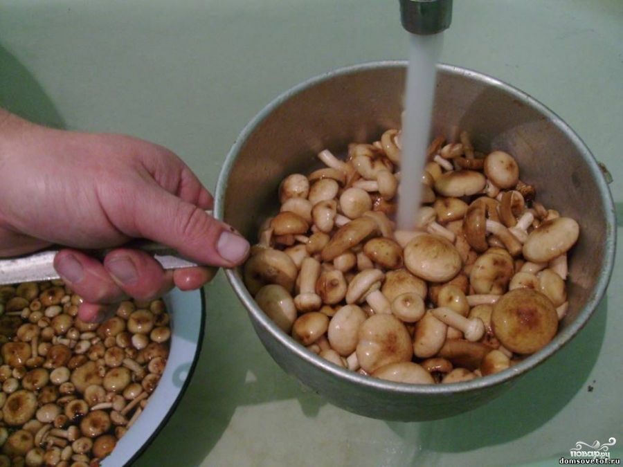 Рецепт Опята с картошкой в духовке