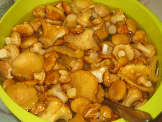 Рецепт Картошка со свежими грибами жареная
